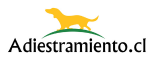Servicio Adiestramiento Canino